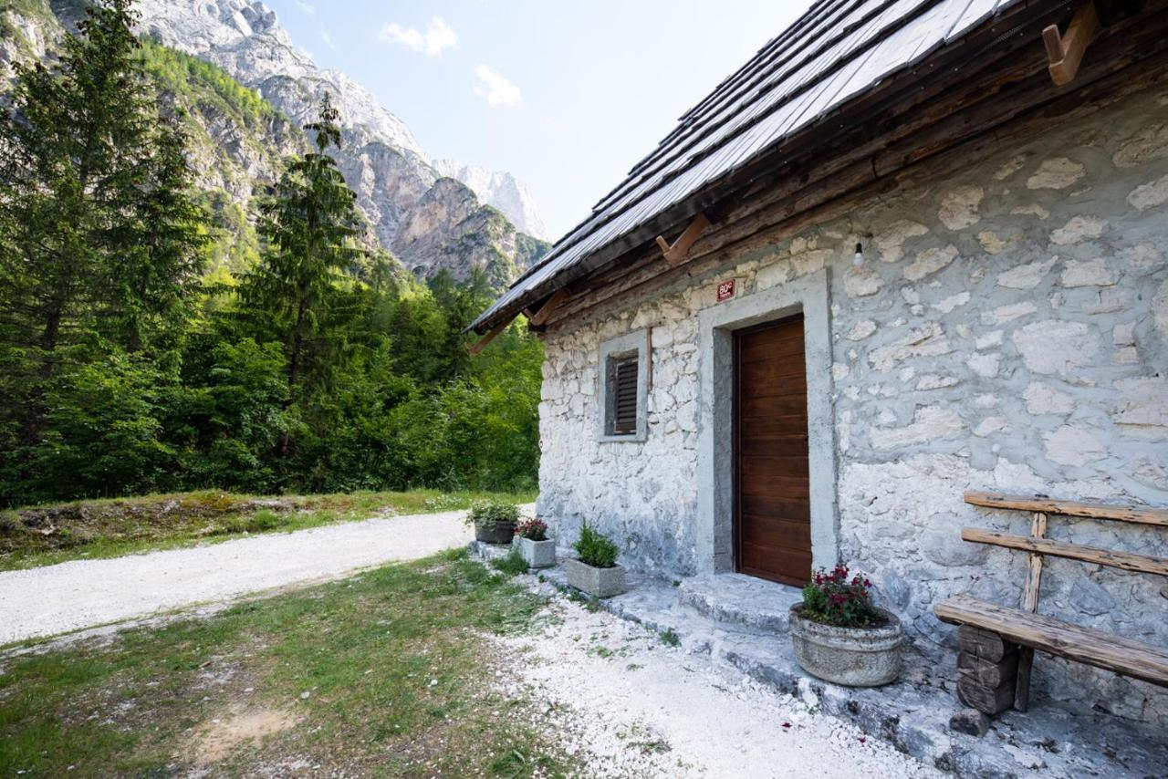 Mountain Heart Holiday House 트렌타 외부 사진
