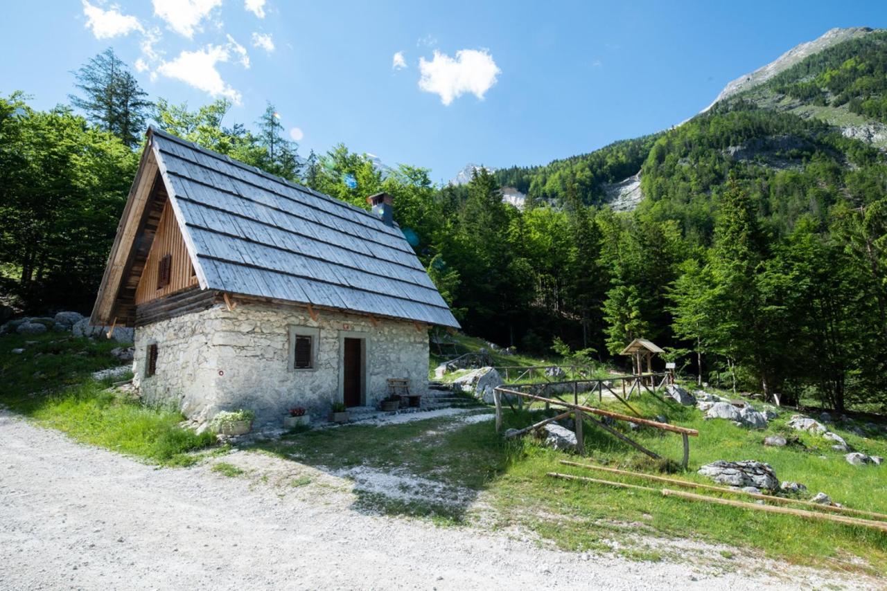 Mountain Heart Holiday House 트렌타 외부 사진