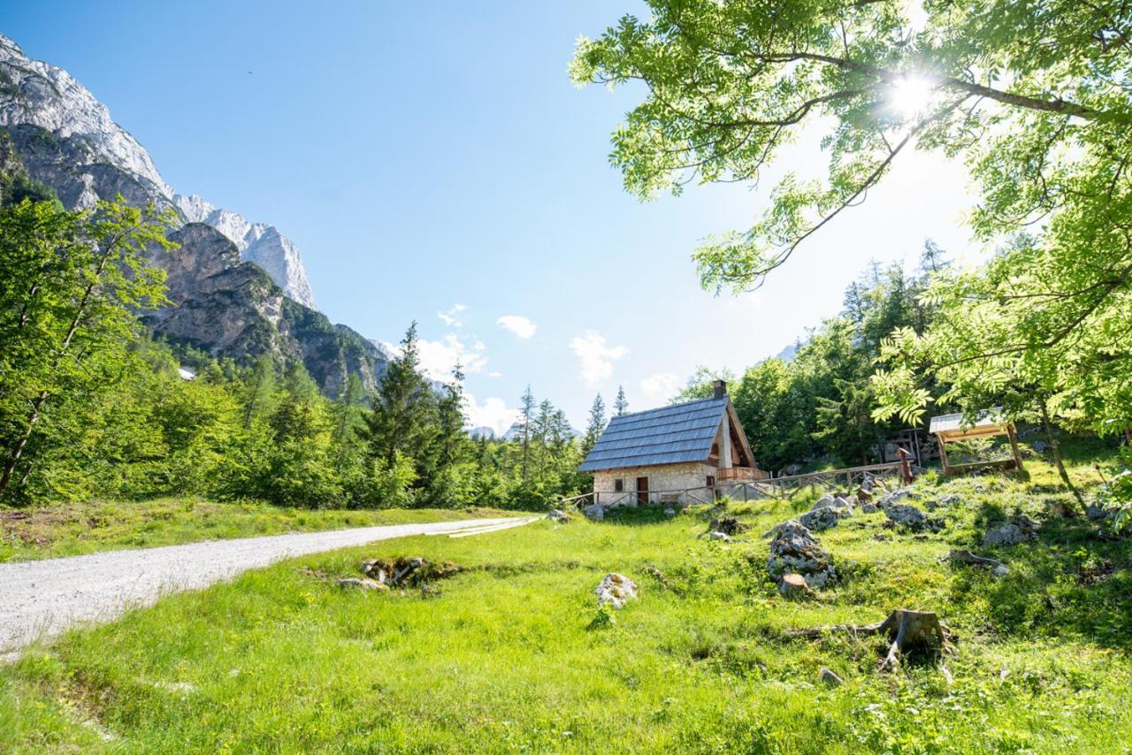 Mountain Heart Holiday House 트렌타 외부 사진