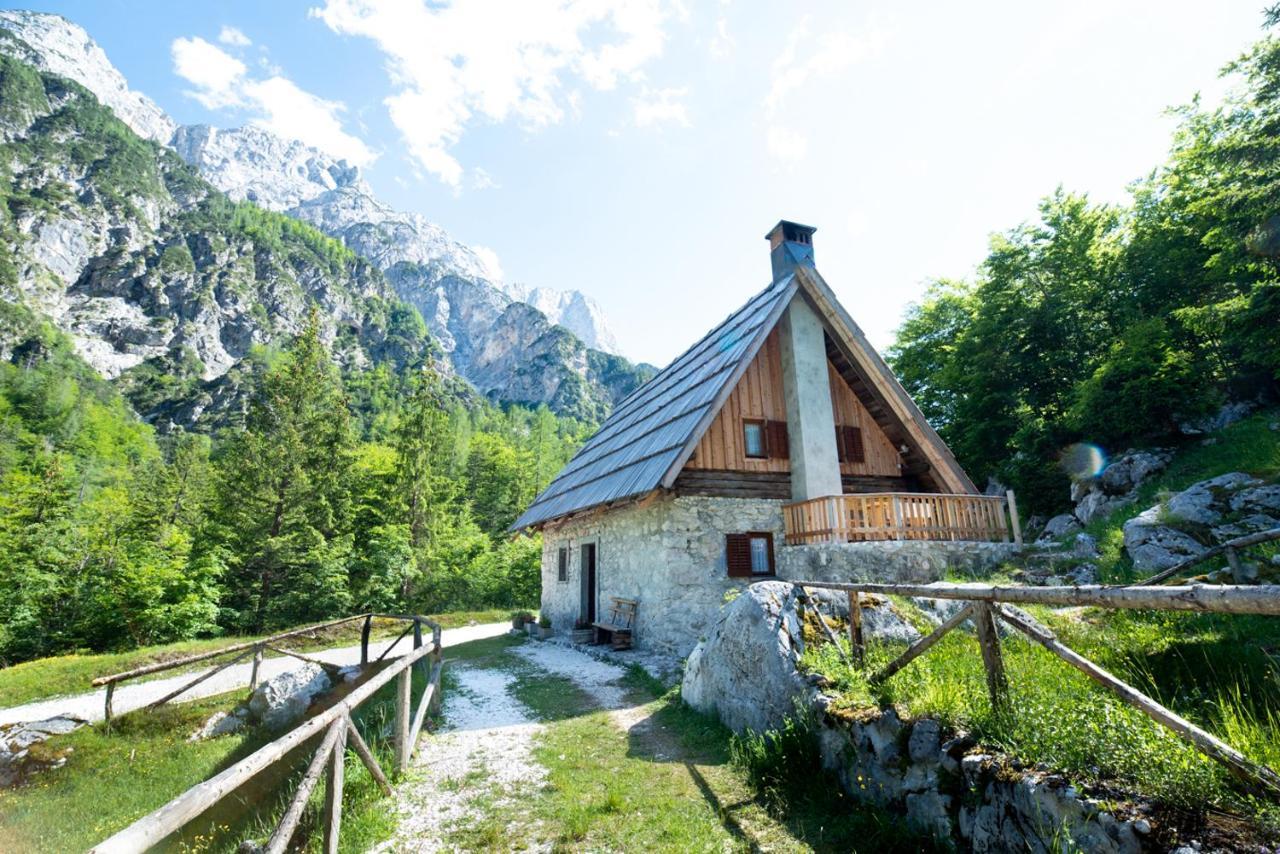 Mountain Heart Holiday House 트렌타 외부 사진